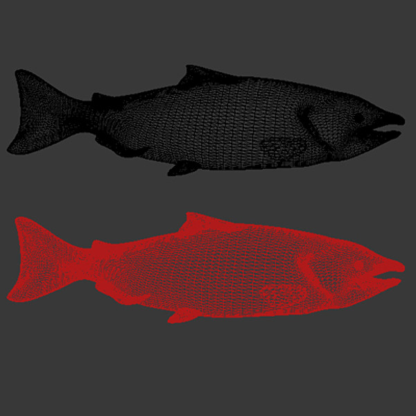 max largemouth fish - Freshwater fish collection by gauthier12